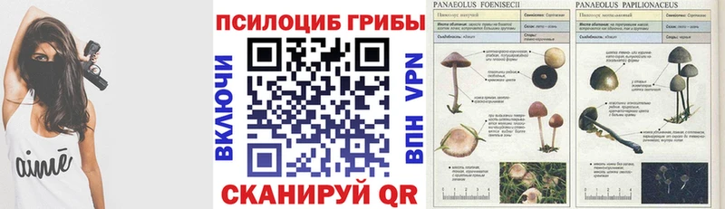 Галлюциногенные грибы Magic Shrooms  Купить  Костерёво 